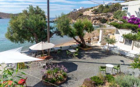 Ibaritakis Hotel Emily Garden 24 9177