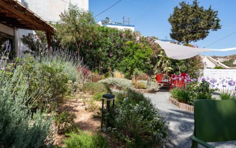 The Hotel 23 Ibaritakis Hotel Emily Garden 6 8857