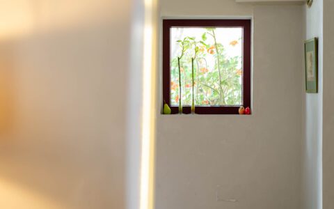 Ibaritakis Hotel Emily Reception 23 8753